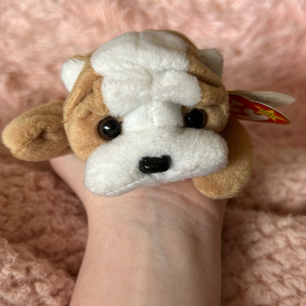 Ty beanie baby Wrinkes